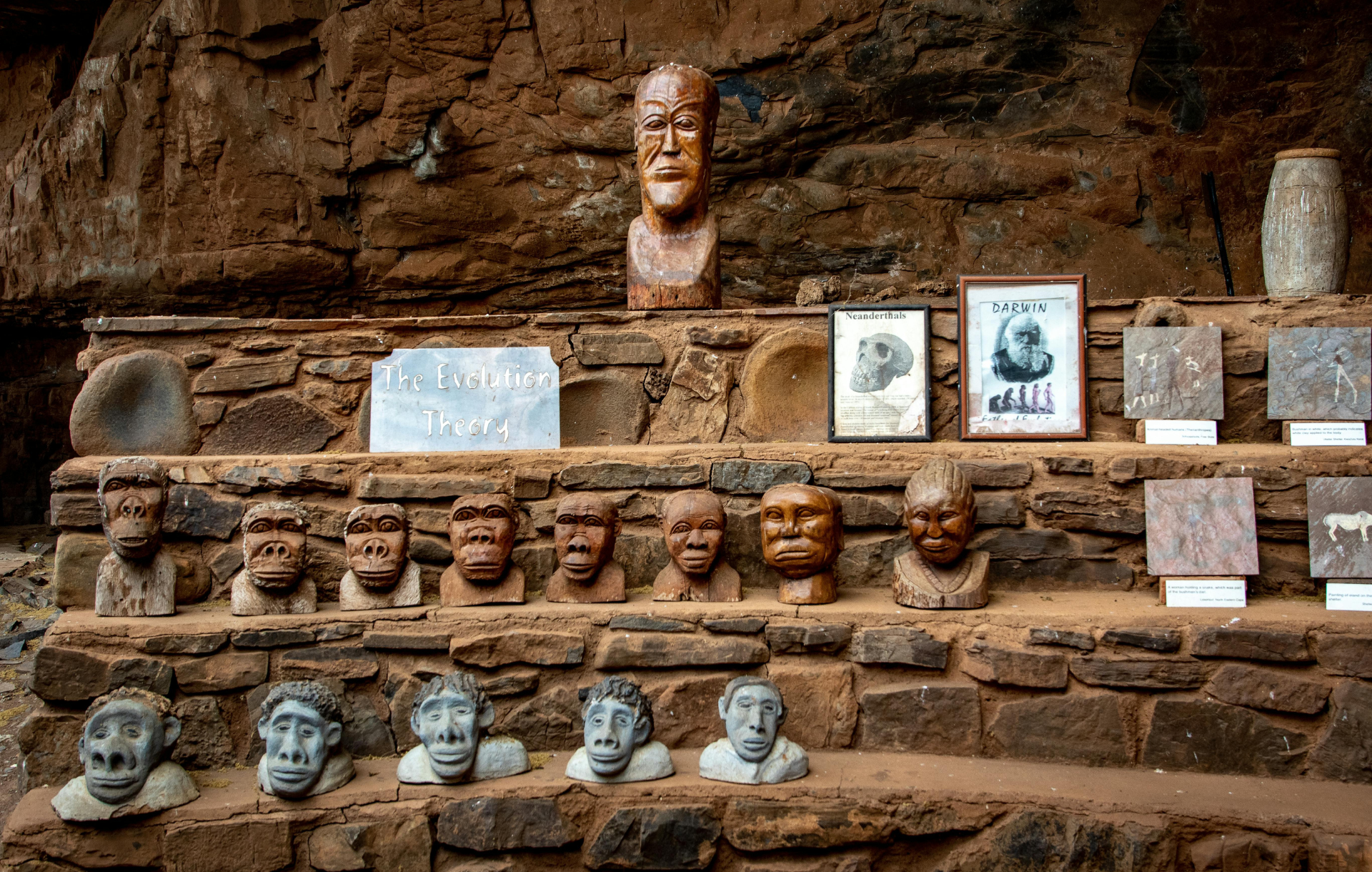 VQ Museum Studio - Natural History Workshops